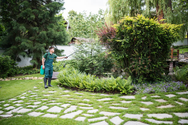 Best Mosquito Control Services  in Milford, OH