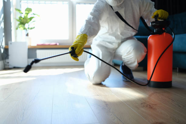 Best Flea Control Services  in Milford, OH