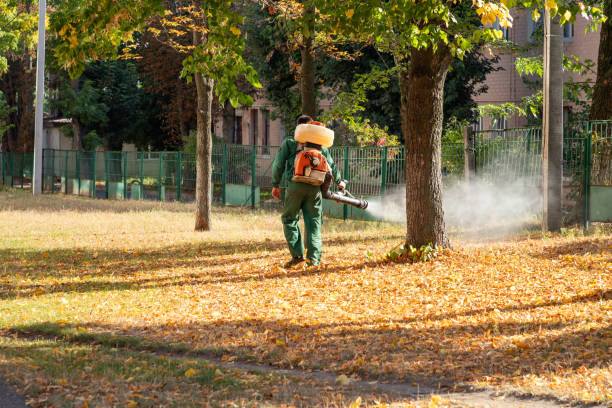 Best Pest Control Near Me  in Milford, OH